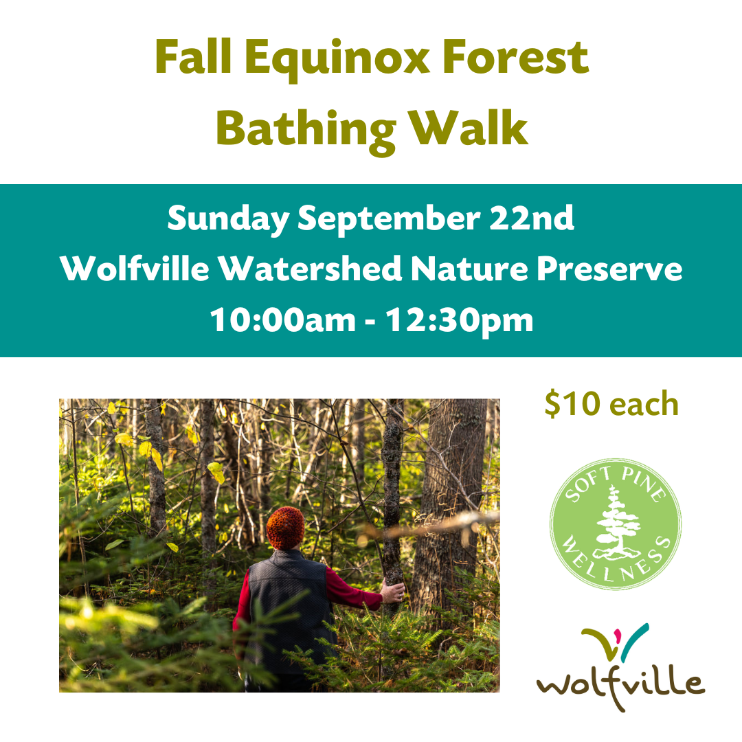 Fall Equinox Forest Bathing Walk Town of Wolfville, Nova Scotia